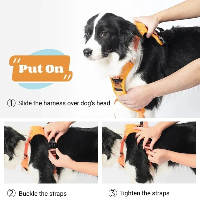 Harnais Sac Dos Anti-Traction Malinois Jaune