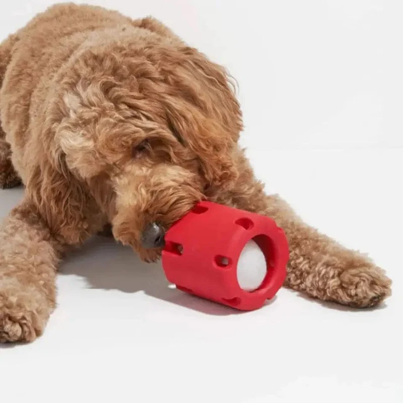 Balle Tennis Caoutchouc Mordant Chien