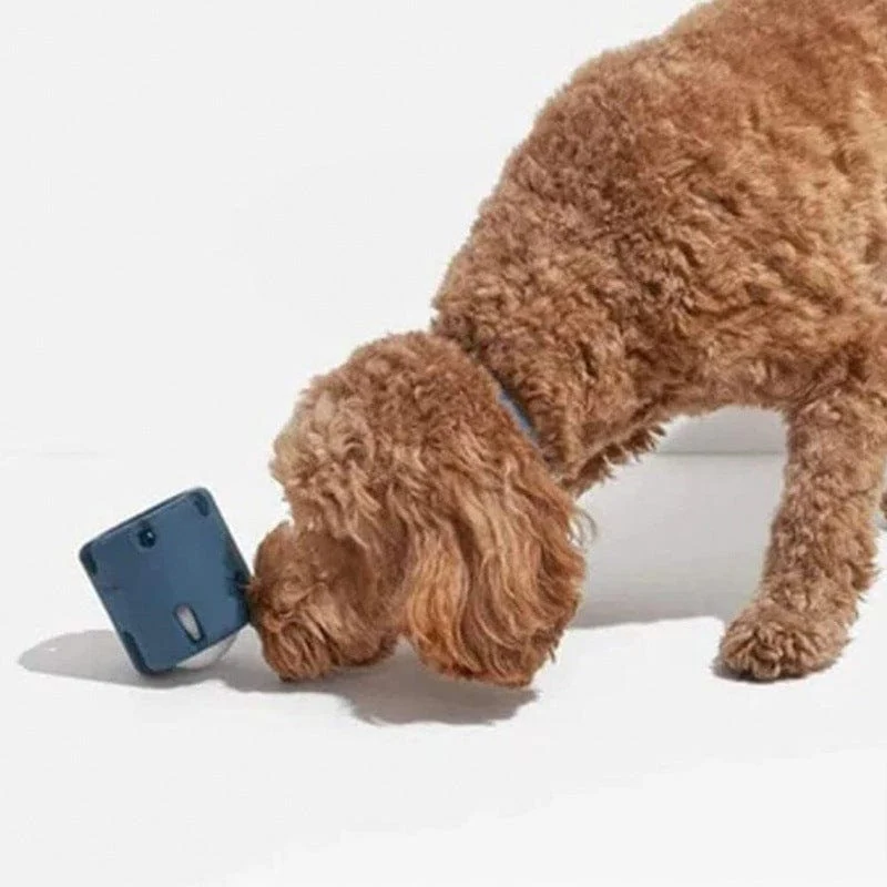 Balle Tennis Caoutchouc Mordant Chien