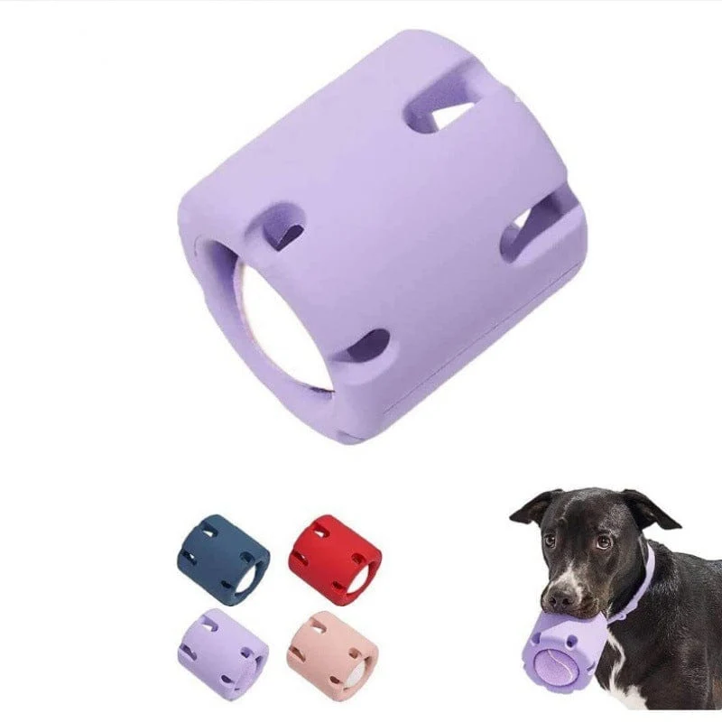 Balle Tennis Caoutchouc Mordant Chien