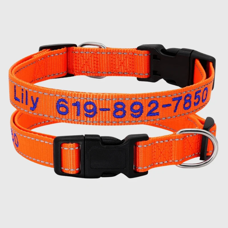 Collier Cousu Personnalisable Nylon Gros Chien