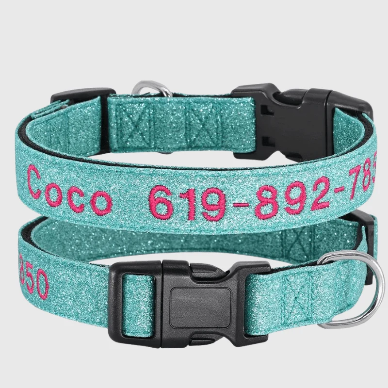 Collier Cousu Personnalisable Nylon Gros Chien