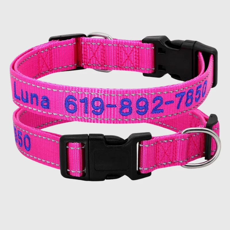 Collier Cousu Personnalisable Nylon Gros Chien