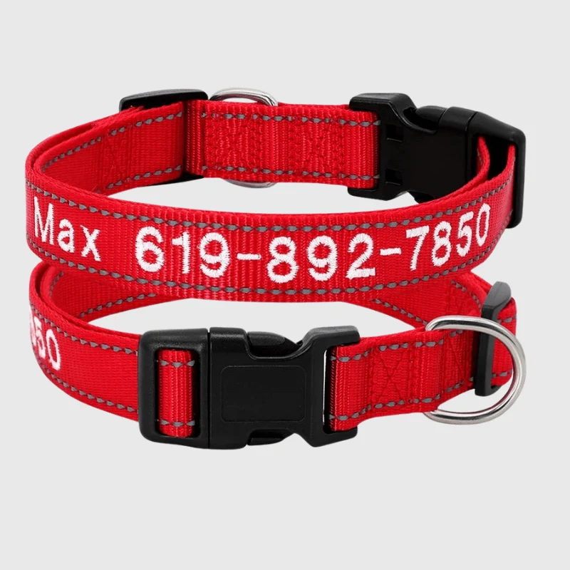 Collier Cousu Personnalisable Nylon Gros Chien