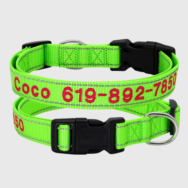 Collier Cousu Personnalisable Nylon Gros Chien