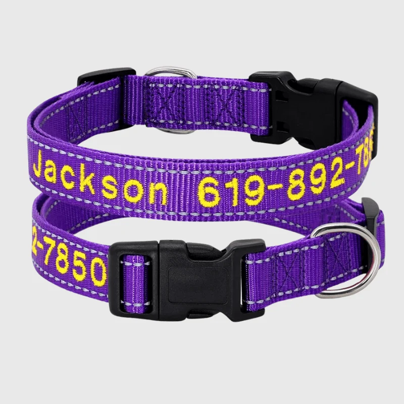 Collier Cousu Personnalisable Nylon Gros Chien