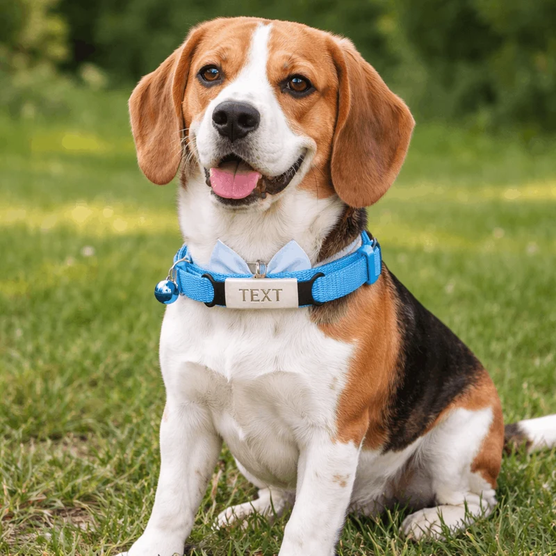 Collier Nœud Papillon Chien 9 Couleurs