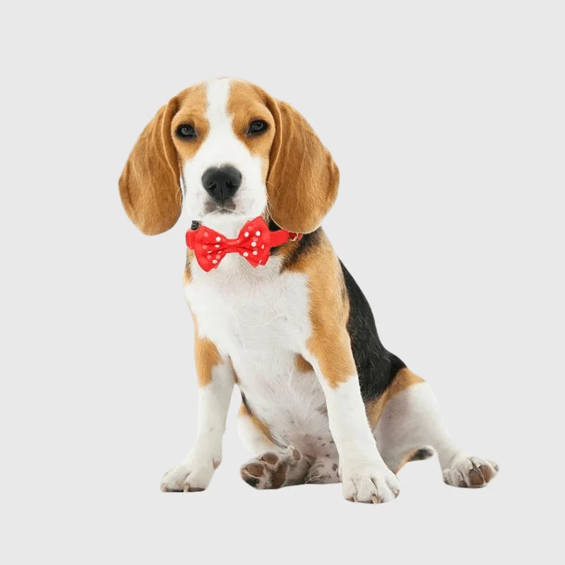 Collier Nœud Papillon Chien 9 Couleurs