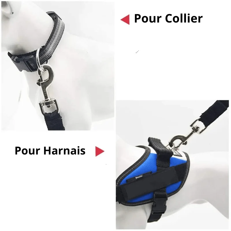Ceinture Sécurité Voiture Gros Chien Réglable