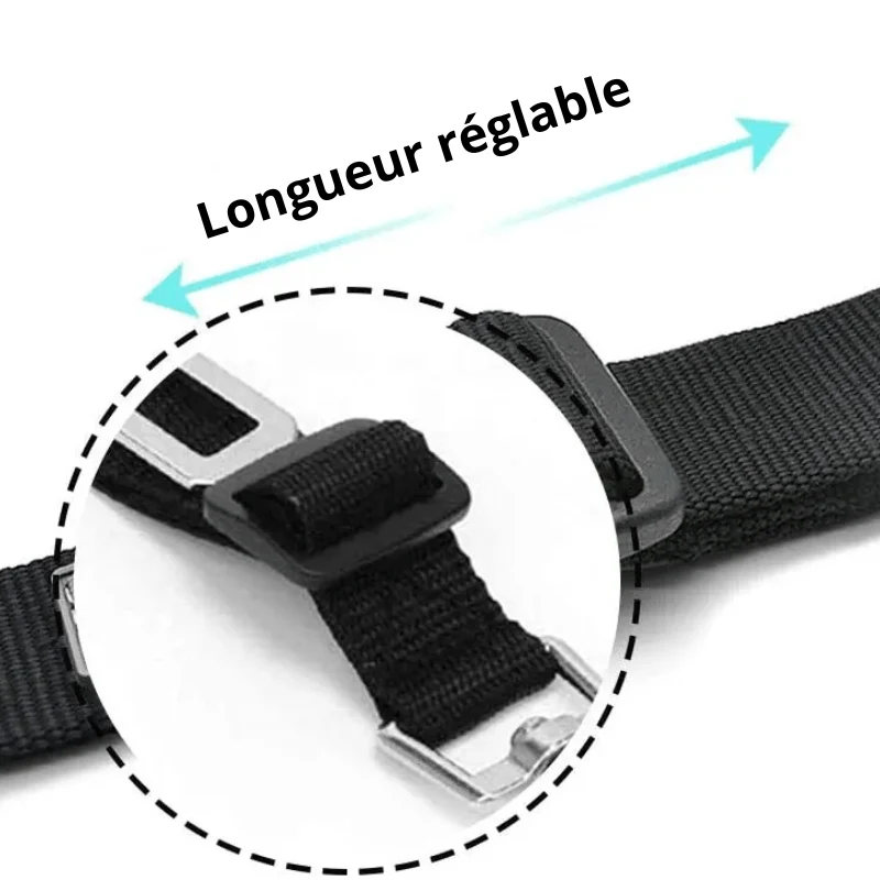 Ceinture Sécurité Voiture Gros Chien Réglable