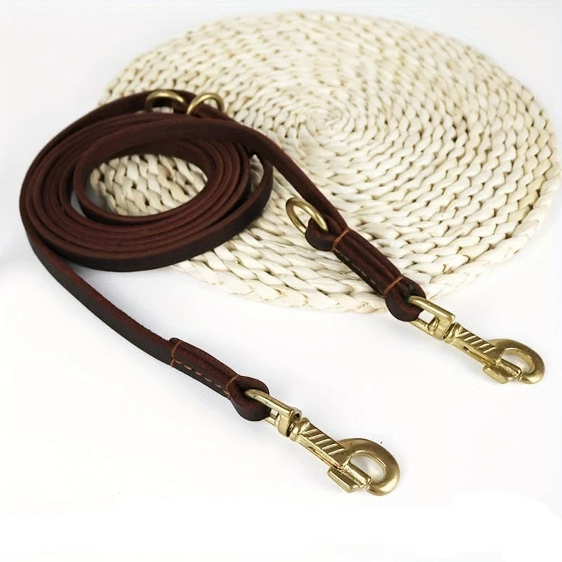 Laisse Multifonction 6-en-1 Gros Chien 2,4m