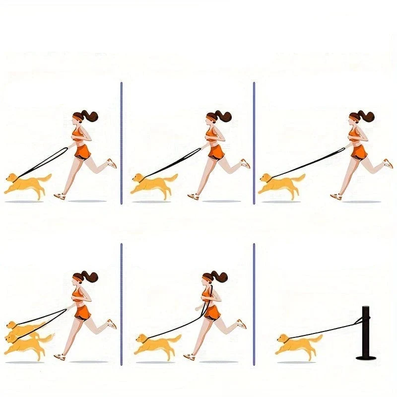 Laisse Multifonction 6-en-1 Gros Chien 2,4m