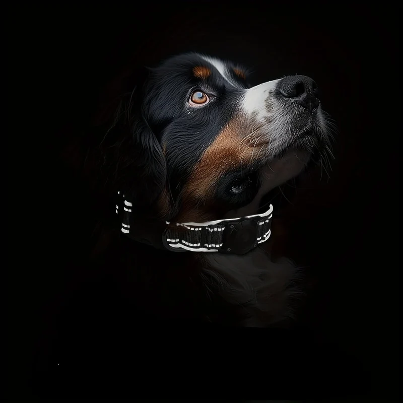 Collier Nylon Support AirTag Étanche Gros Chien