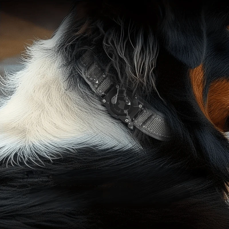 Collier Nylon Support AirTag Étanche Gros Chien