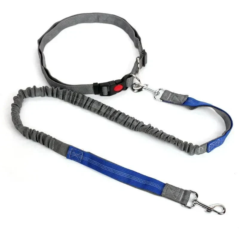 Laisse Mains Libres Jogging Canicross Chien