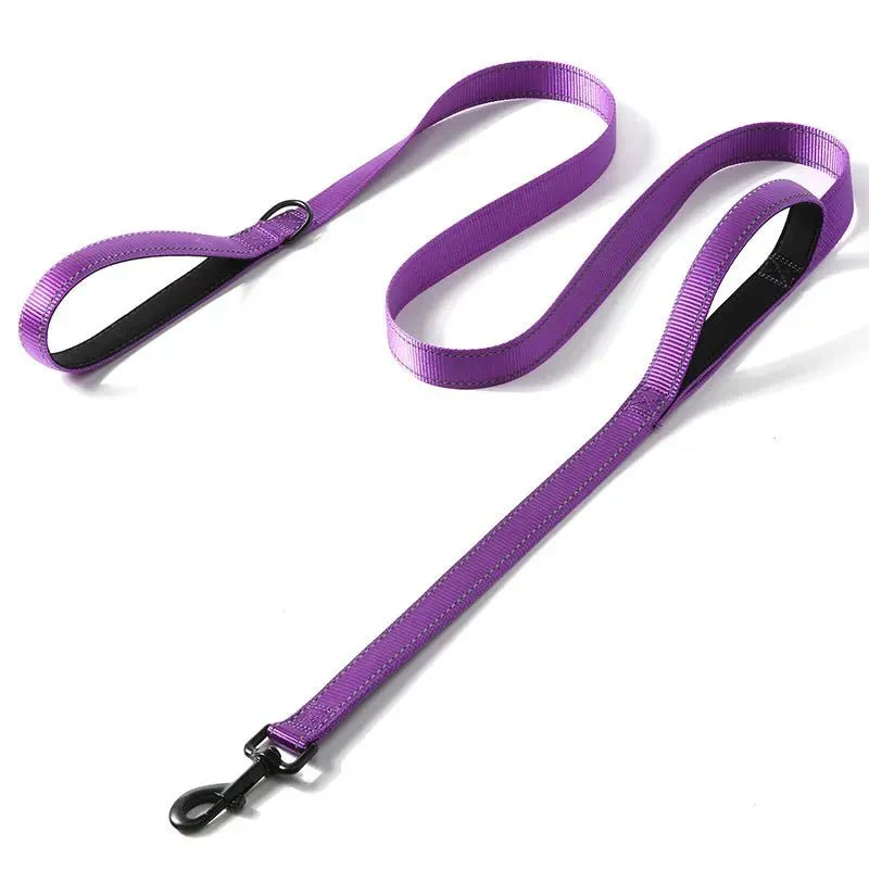 Laisse Double Poignée Nylon Gros Chien Puissant