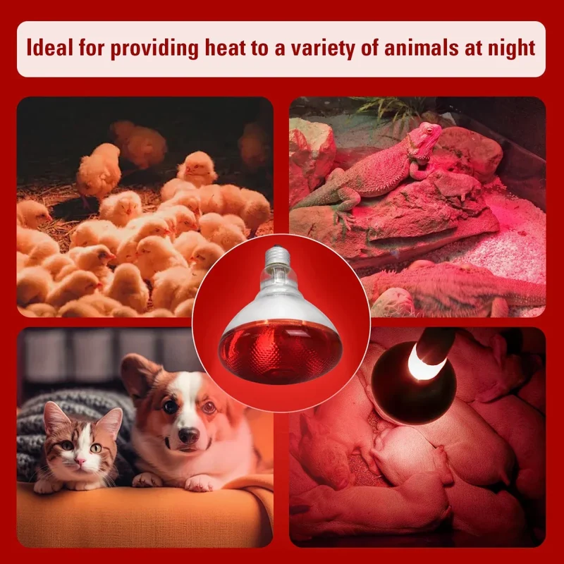 Lampe Infrarouge Chauffante 250W Chiot Élevage