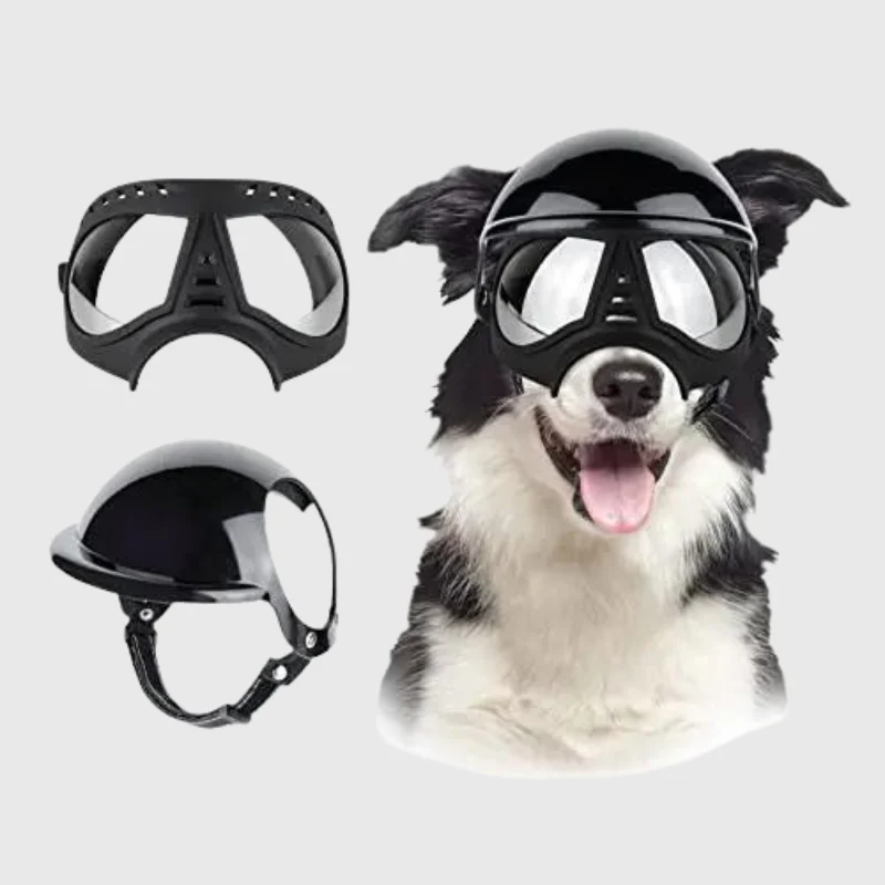 Casque Lunettes Moto Chien Multi-Couleurs Ajustable