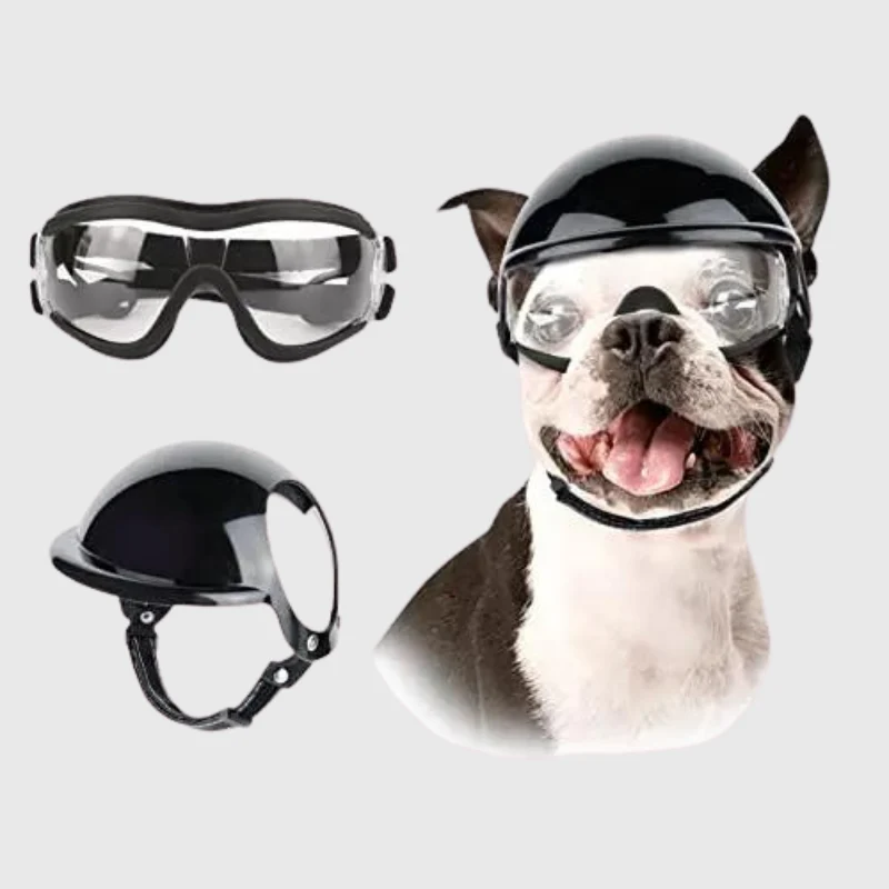 Casque Lunettes Moto Chien Multi-Couleurs Ajustable