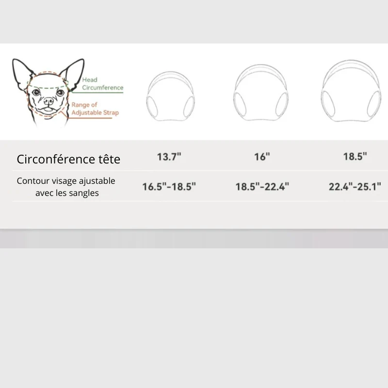 Casque Lunettes Moto Chien Multi-Couleurs Ajustable