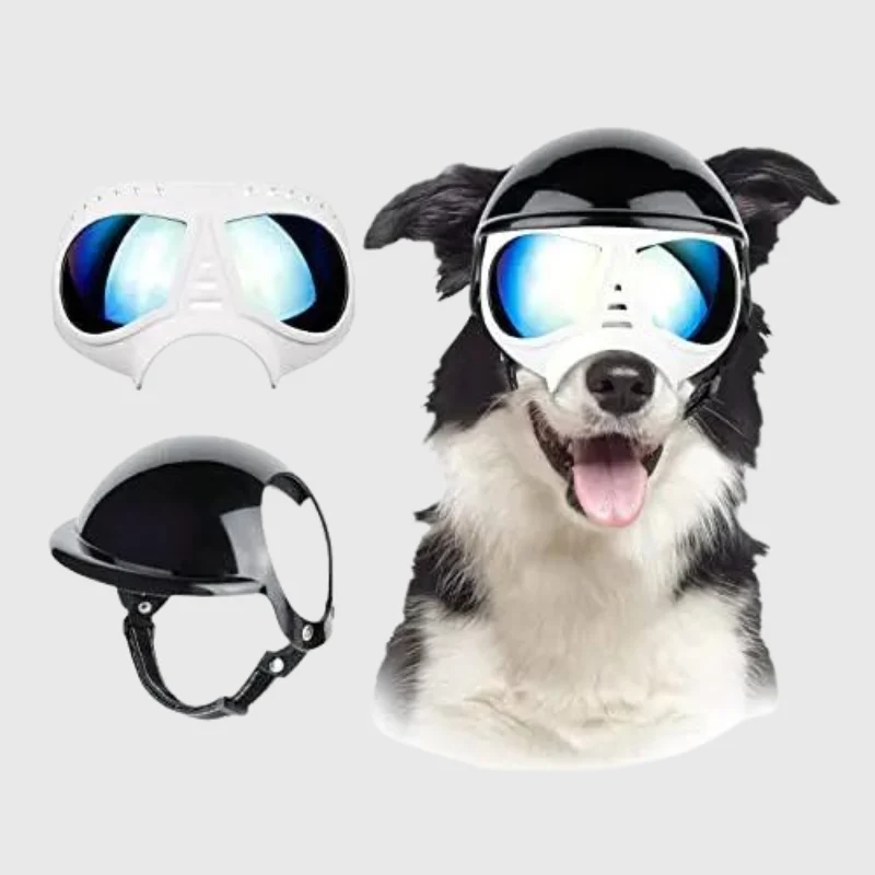 Casque Lunettes Moto Chien Multi-Couleurs Ajustable