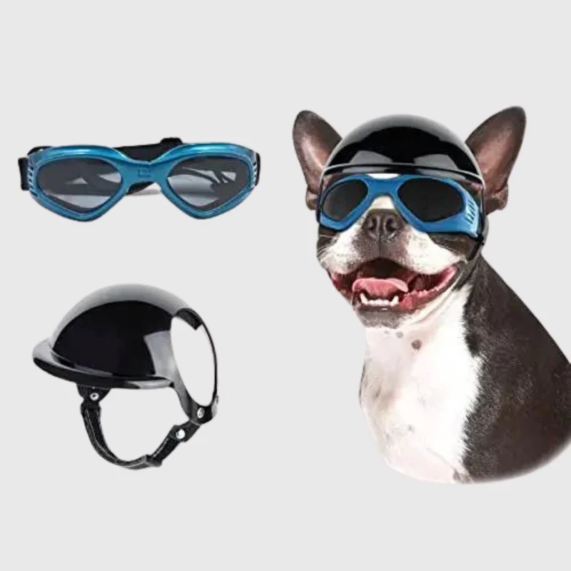 Casque Lunettes Moto Chien Multi-Couleurs Ajustable