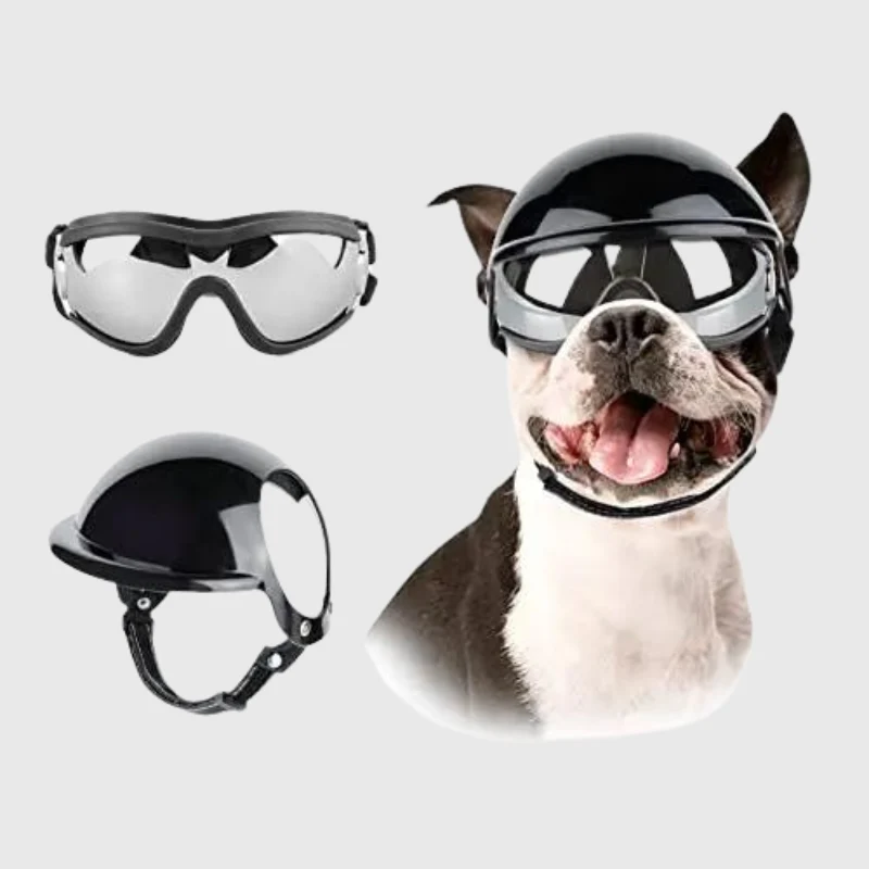 Casque Lunettes Moto Chien Multi-Couleurs Ajustable
