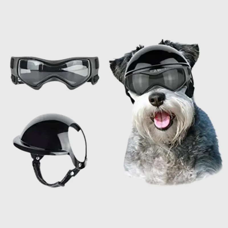 Casque Lunettes Moto Chien Multi-Couleurs Ajustable