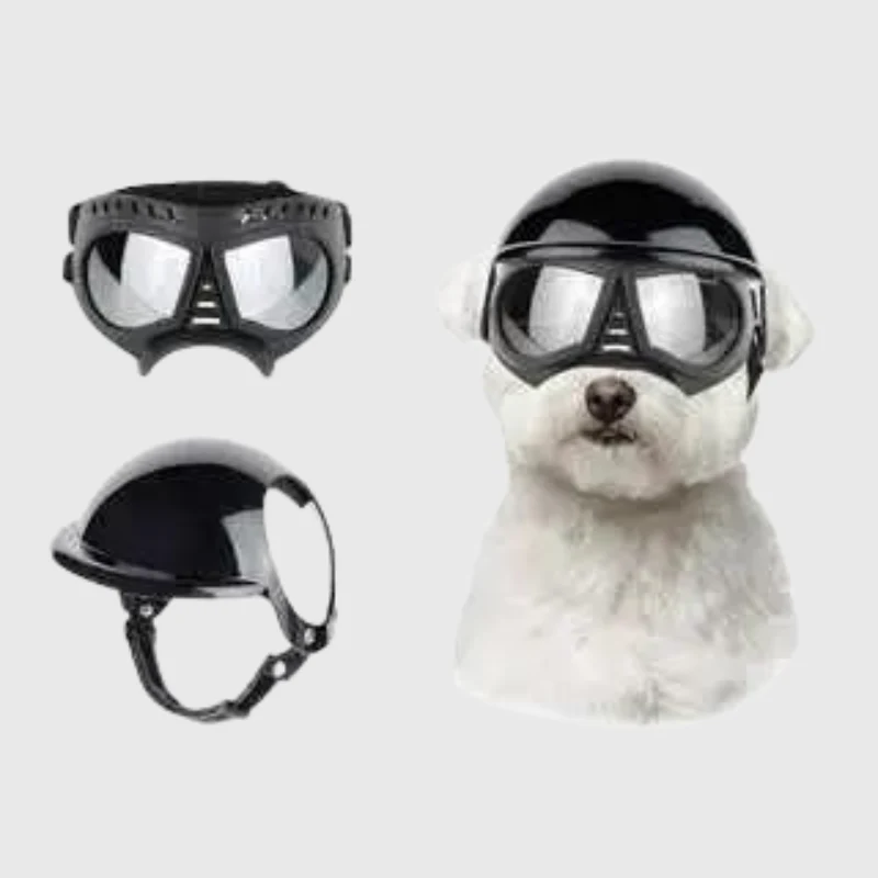 Casque Lunettes Moto Chien Multi-Couleurs Ajustable