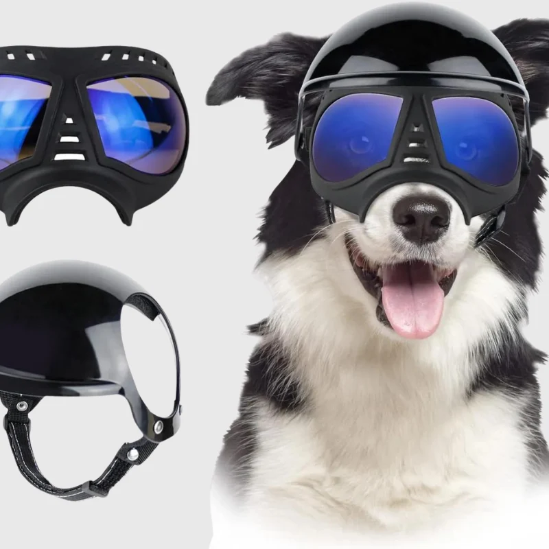Casque Lunettes Moto Chien Multi-Couleurs Ajustable