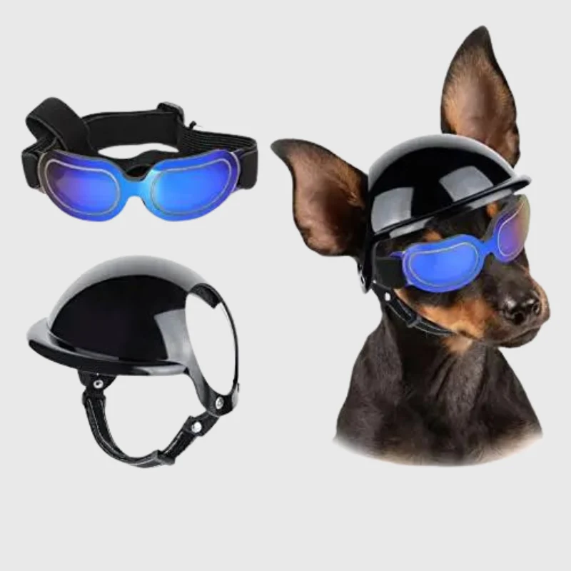 Casque Lunettes Moto Chien Multi-Couleurs Ajustable