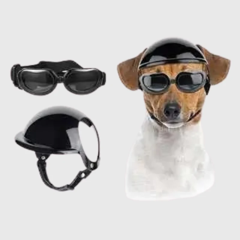 Casque Lunettes Moto Chien Multi-Couleurs Ajustable