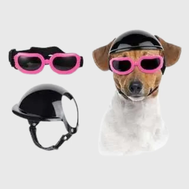 Casque Lunettes Moto Chien Multi-Couleurs Ajustable