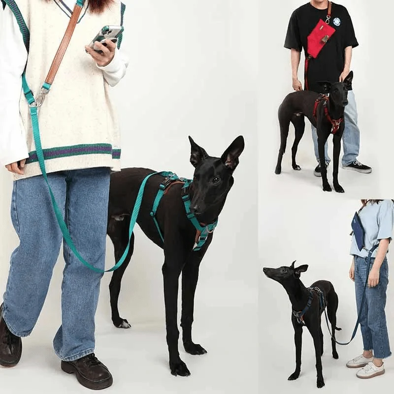 Harnais Anti-Traction Nylon Balistique Gros Chien