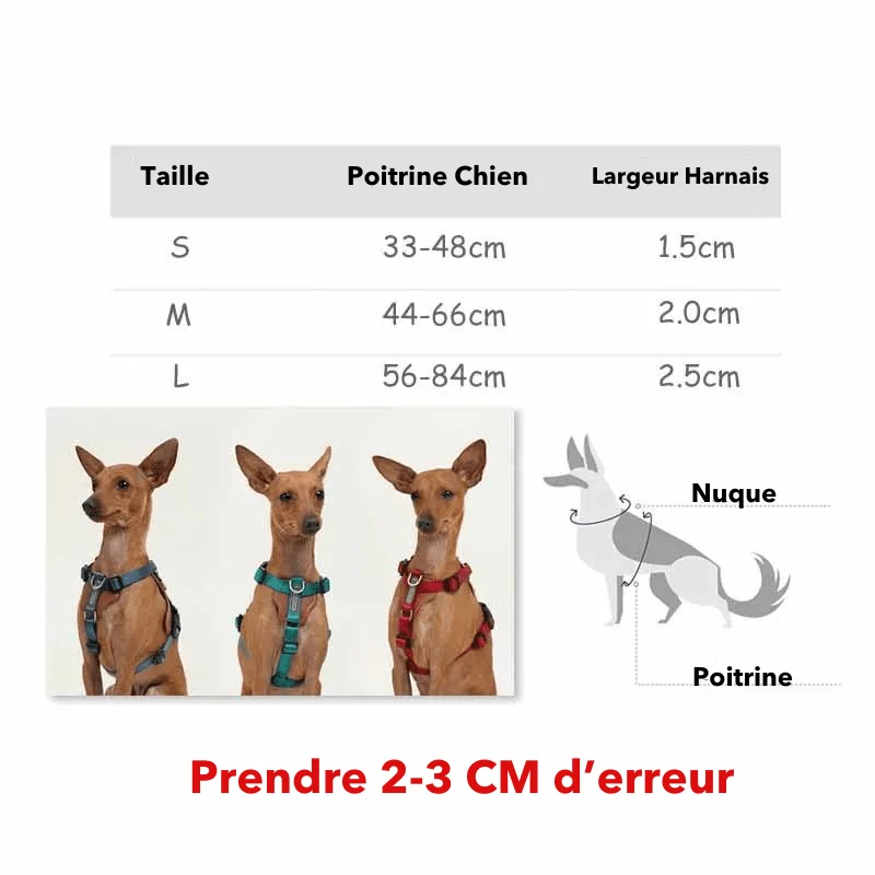 Harnais Anti-Traction Nylon Balistique Gros Chien