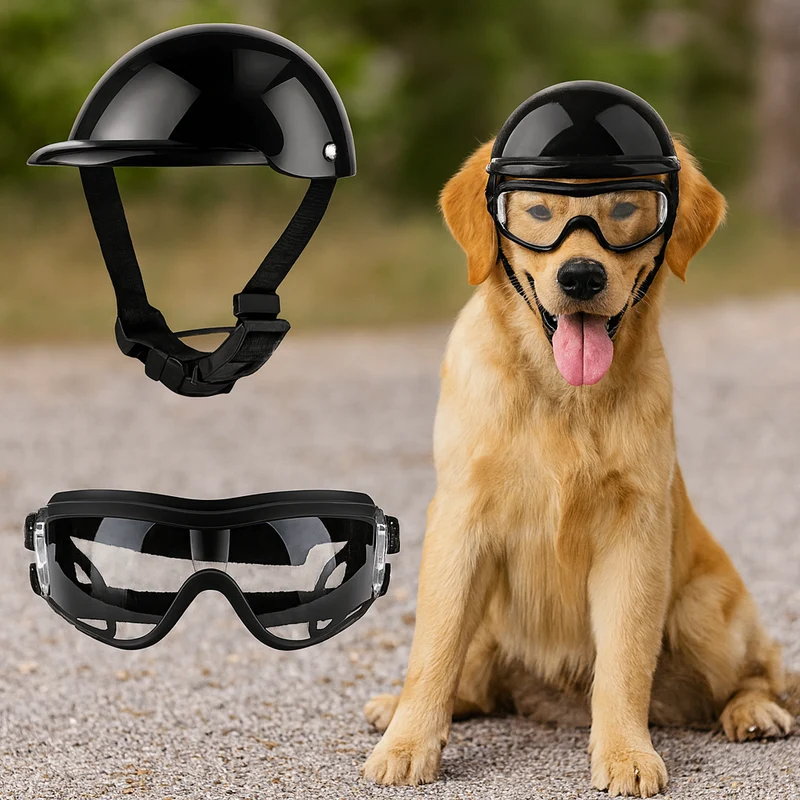 Casque Moto Lunettes Protection Chien Réglable