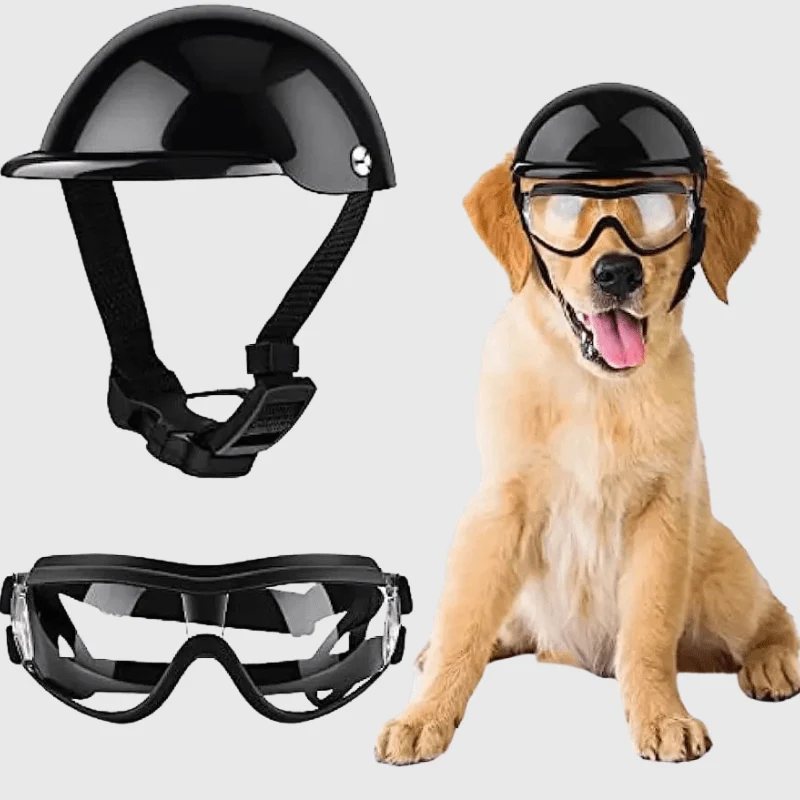Casque Moto Lunettes Protection Chien Réglable