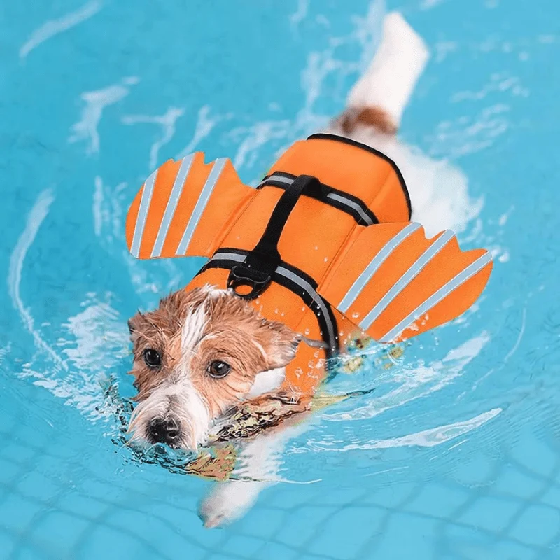 Gilet Sauvetage Chien Orange Haute Visibilité