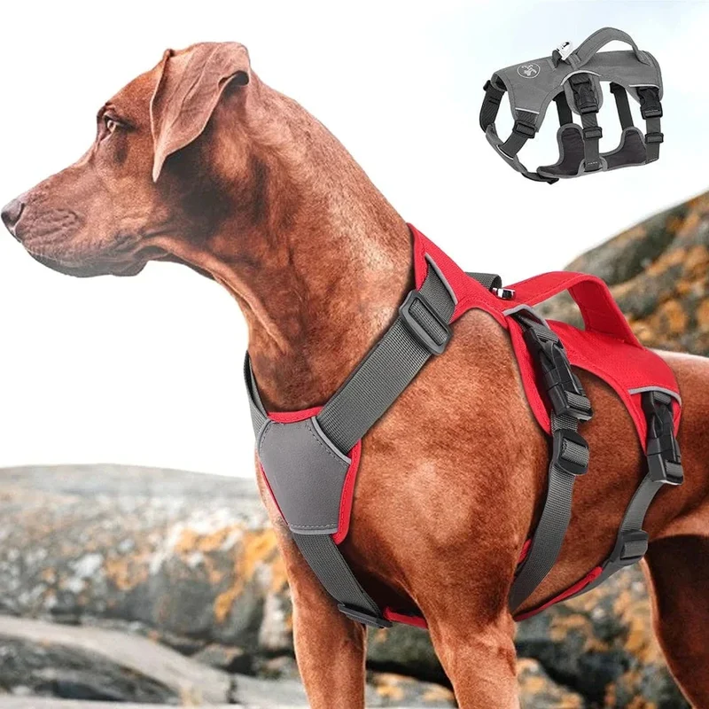 Harnais Anti-Traction Nylon Gros Chien