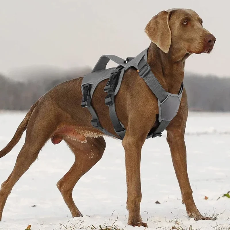 Harnais Anti-Traction Nylon Gros Chien