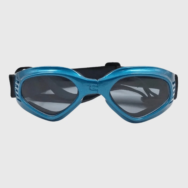 Lunettes Soleil Protection UV Chien