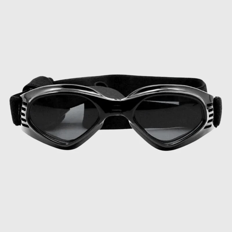 Lunettes Soleil Protection UV Chien
