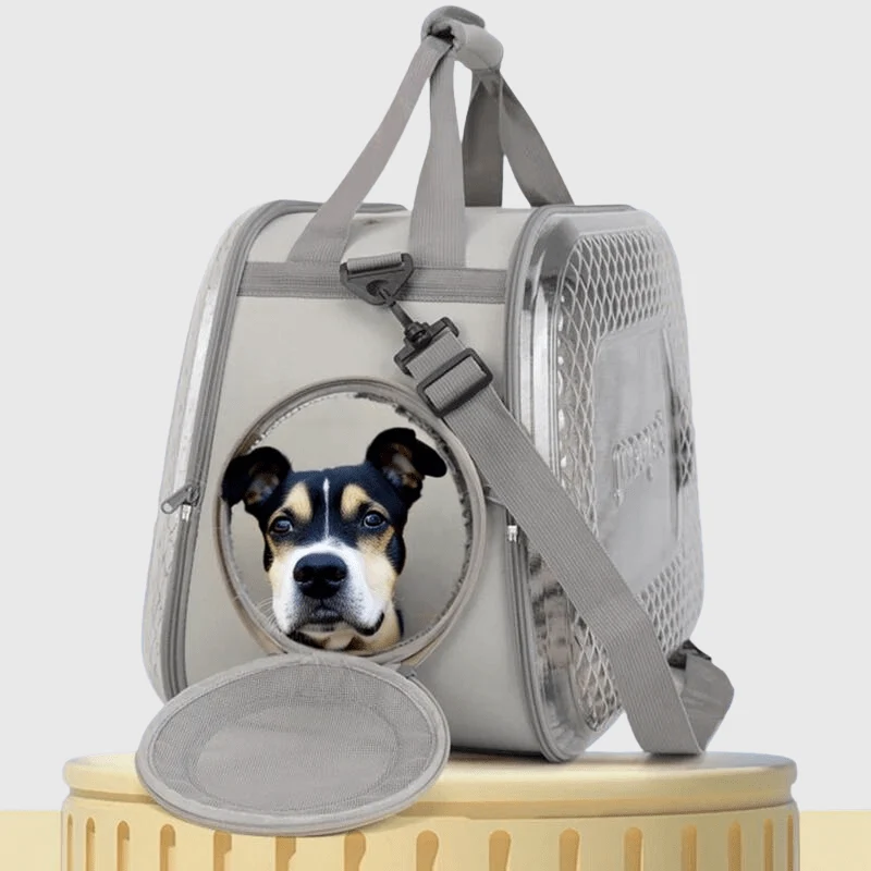 Caisse Transport Transparente Chien Respirante