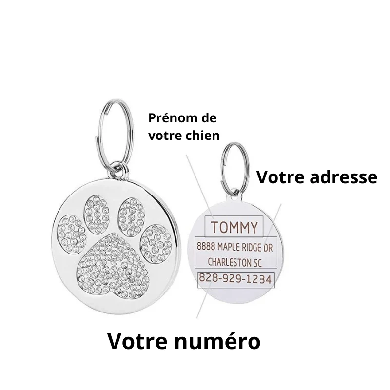 Médaille Inox Chien Personnalisable 21 Modèles
