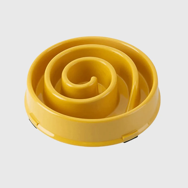 Gamelle Anti-Glouton Spirale Chien Colorée