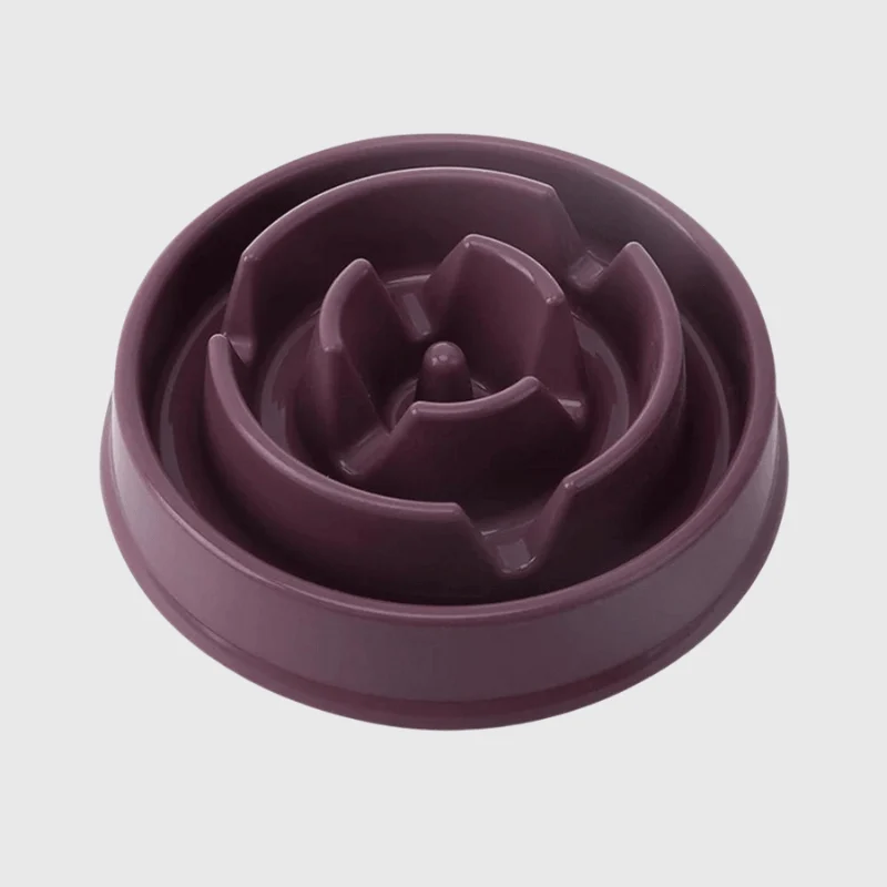 Gamelle Anti-Glouton Design Petit Chien