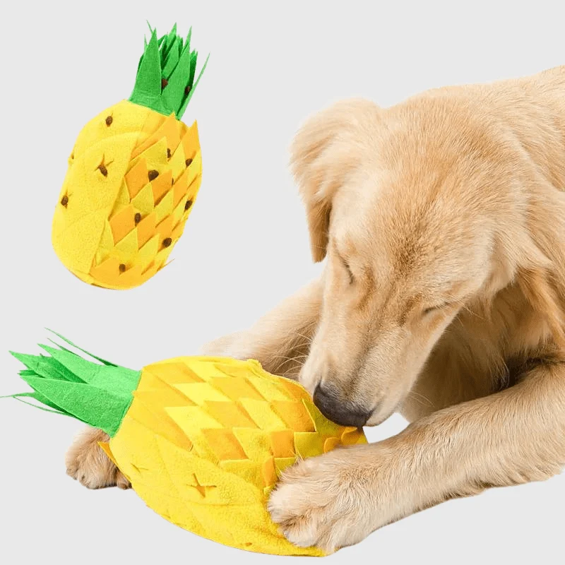 Tapis Fouille Ananas Stimulation Olfactive Chien