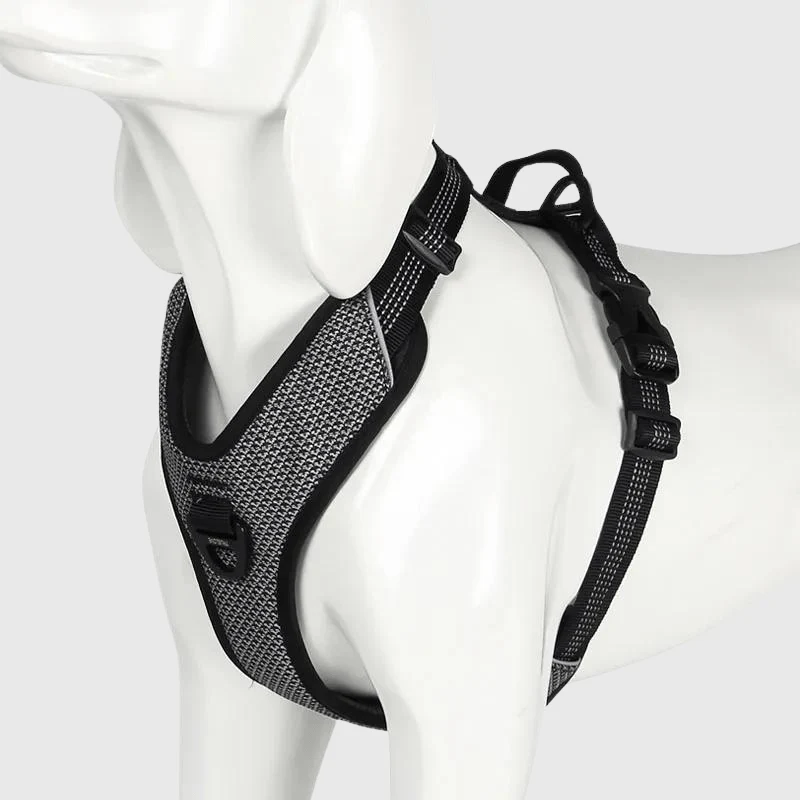 Harnais Anti-Traction Éducatif Gros Chien