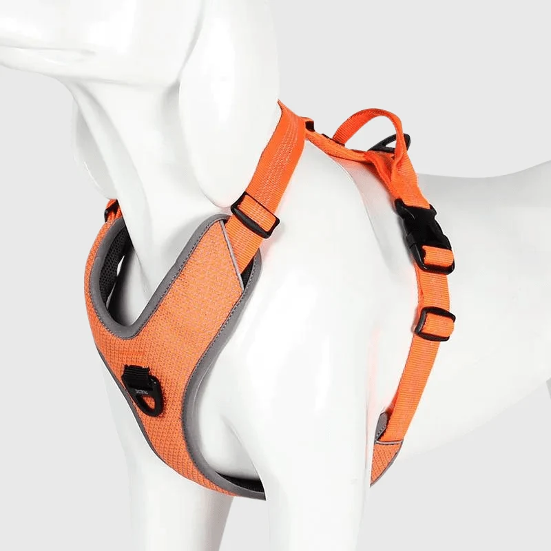 Harnais Anti-Traction Éducatif Gros Chien
