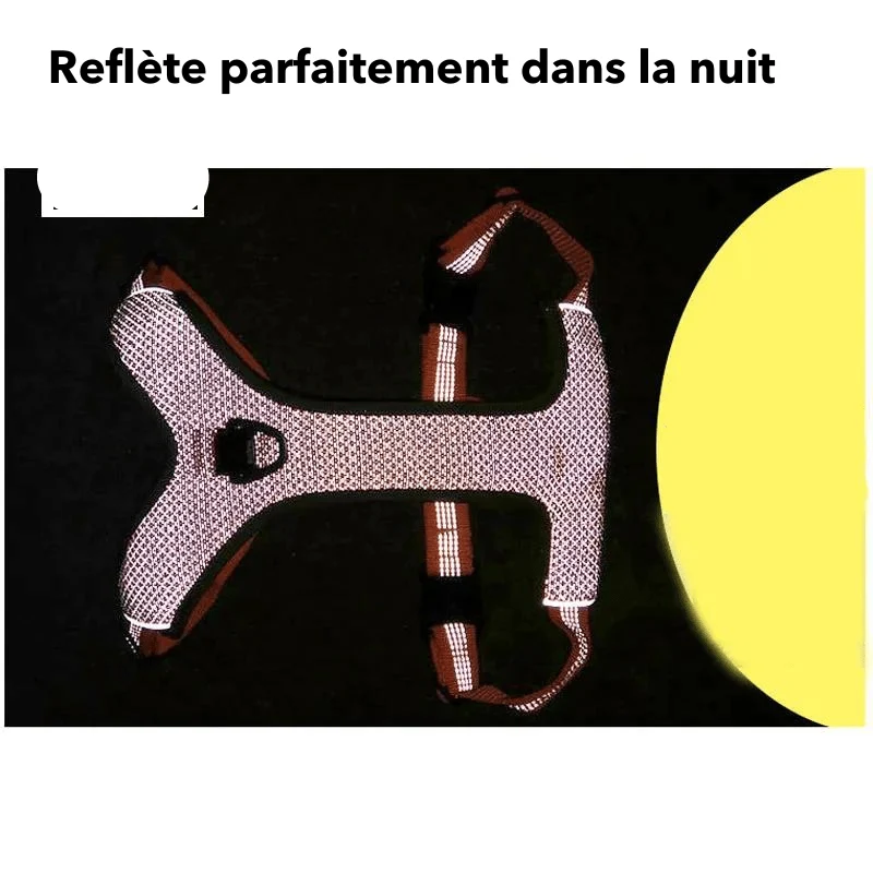 Harnais Anti-Traction Éducatif Gros Chien